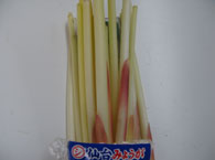 棒茗荷（茗荷竹）